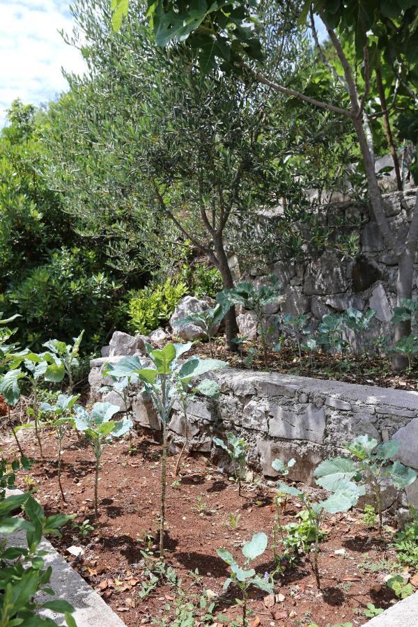 Apartments By The Sea Kabli, Peljesac - 10221 Brijesta Exterior foto