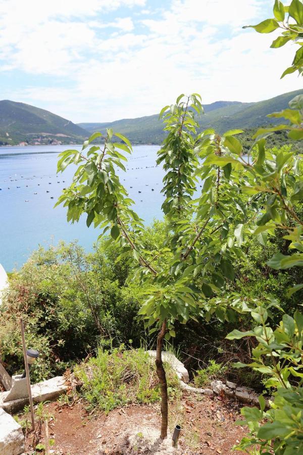 Apartments By The Sea Kabli, Peljesac - 10221 Brijesta Exterior foto